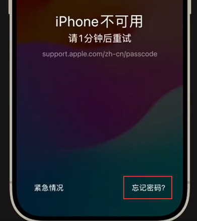 汾西苹果手机密码维修分享iPhone忘记了刚设置的密码 