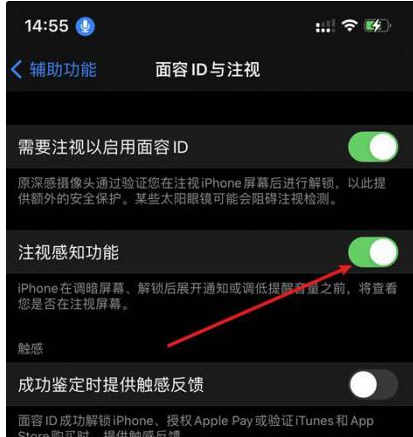 汾西苹果14维修网点分享iPhone14注视感知功能有什么用 
